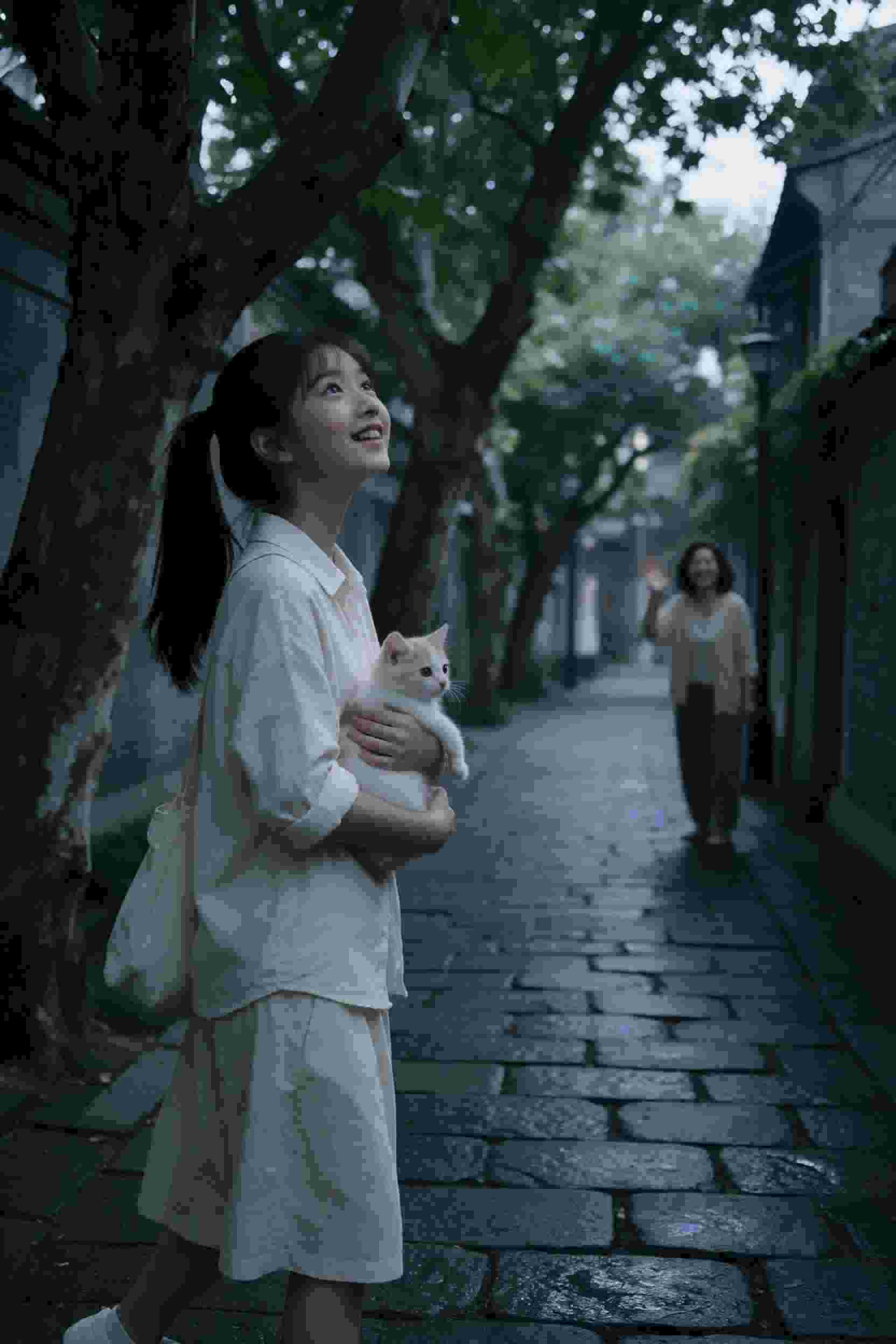 江南烟雨情